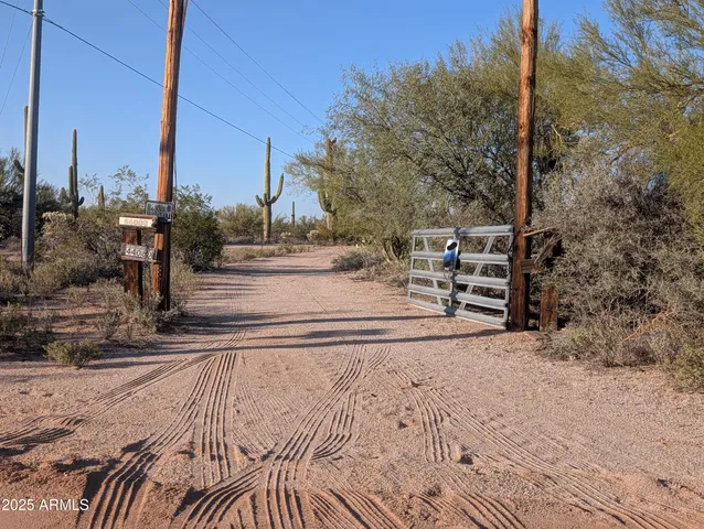 a view of a parking space with large trees