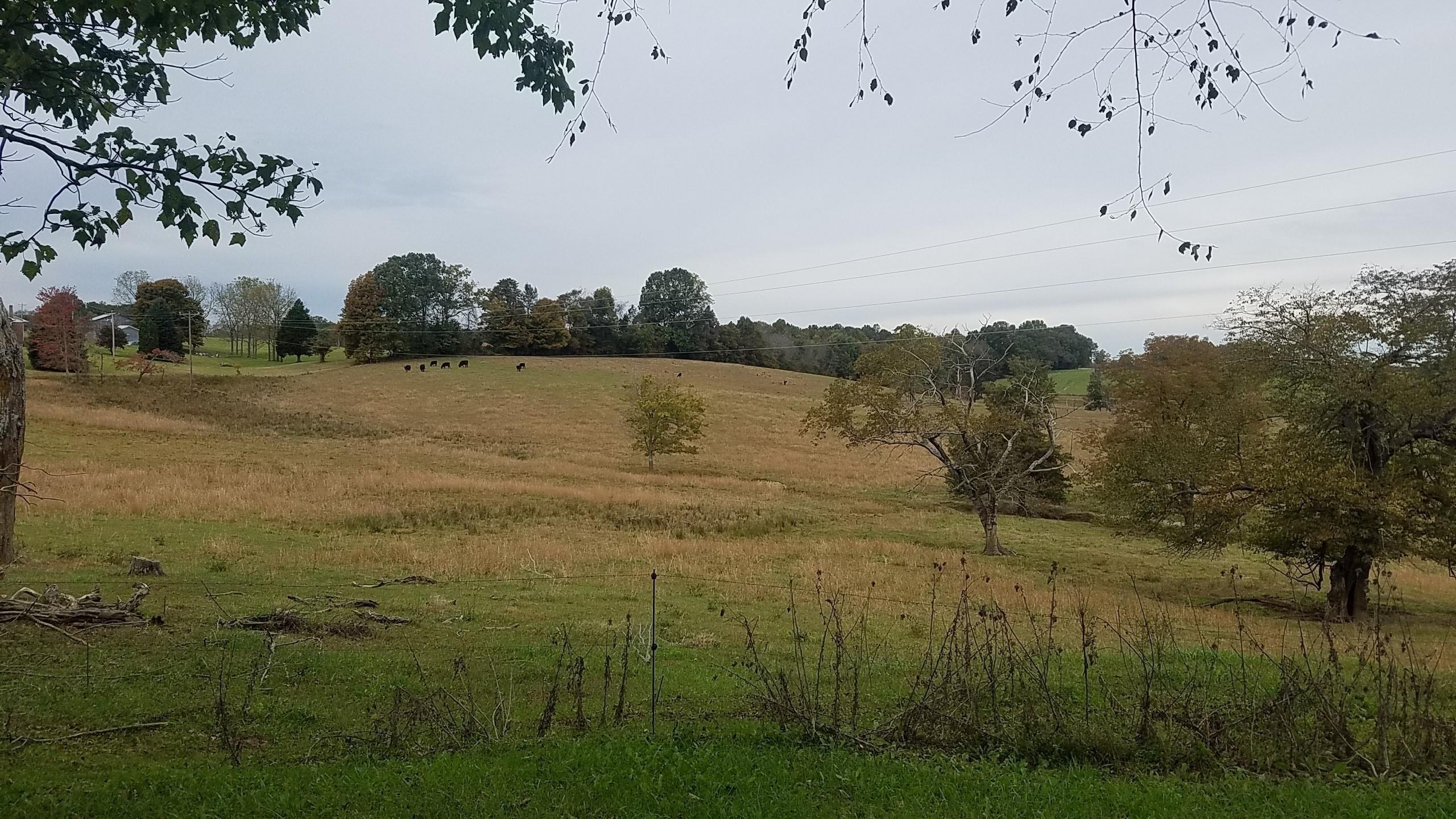 1400 Etna Road Eubank, KY 42567 - Photo 4 of 11 Additional Photo
