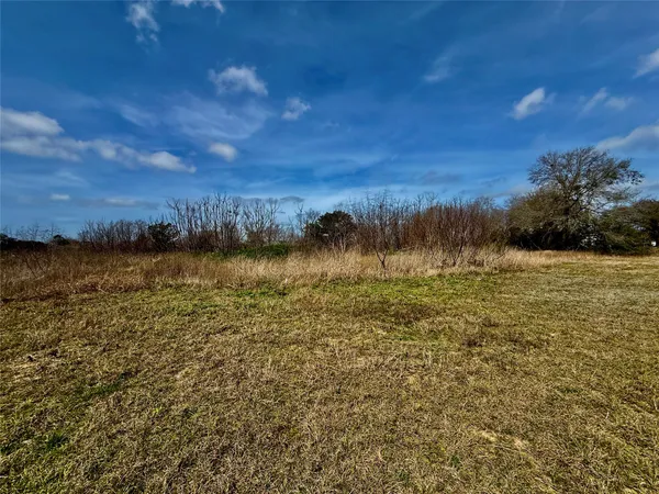 a view of a lake from a yard