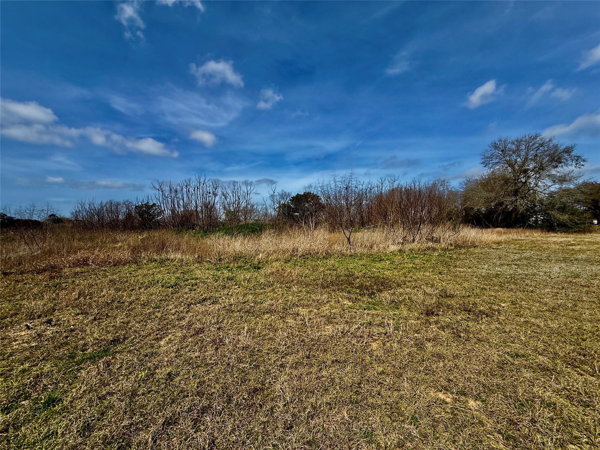 a view of a lake from a yard