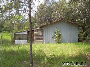 705 Seville, FL 32190 - Photo 6 of 7 Additional Photo