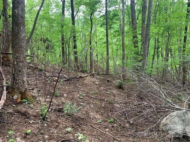 a view of outdoor space and green space