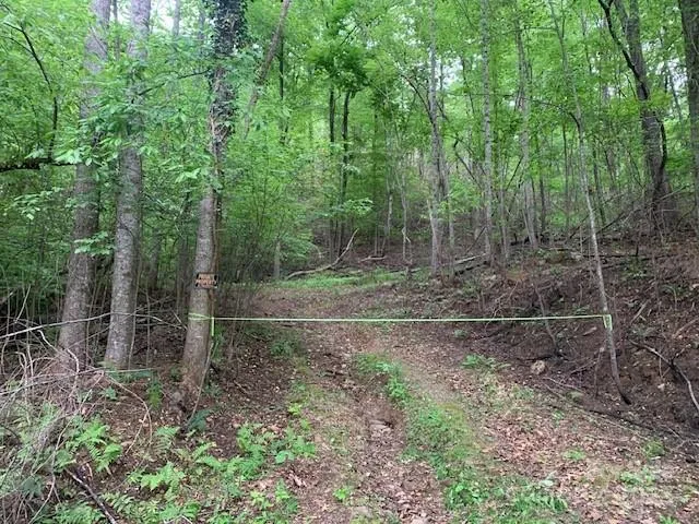 a view of outdoor space and garden