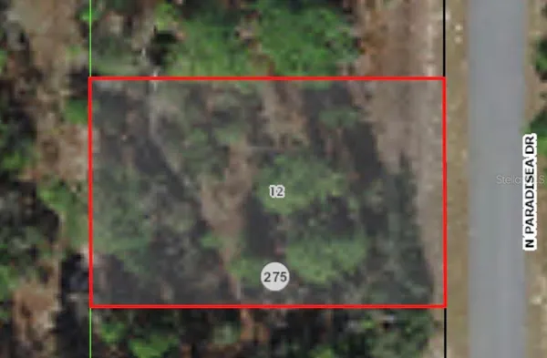 $25,000 | 9800 North Paradisea Drive, Citrus Springs, FL 34433