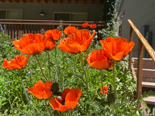 $750,000 | 1276 Main Street, Unit 7, Ouray, CO 81427