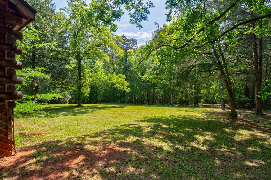 1972 Liberty Hill Road McCormick, SC 29835 - Photo 60 of 70