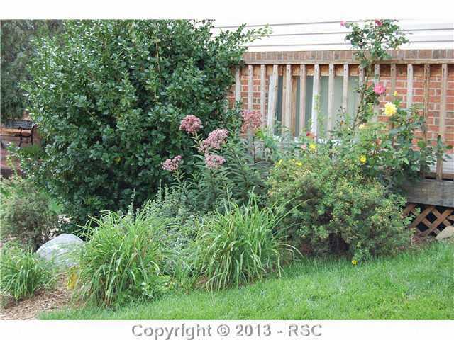 1790 Winnebago Road Colorado Springs, CO 80915 - Photo 2 of 11 nice landscaping
