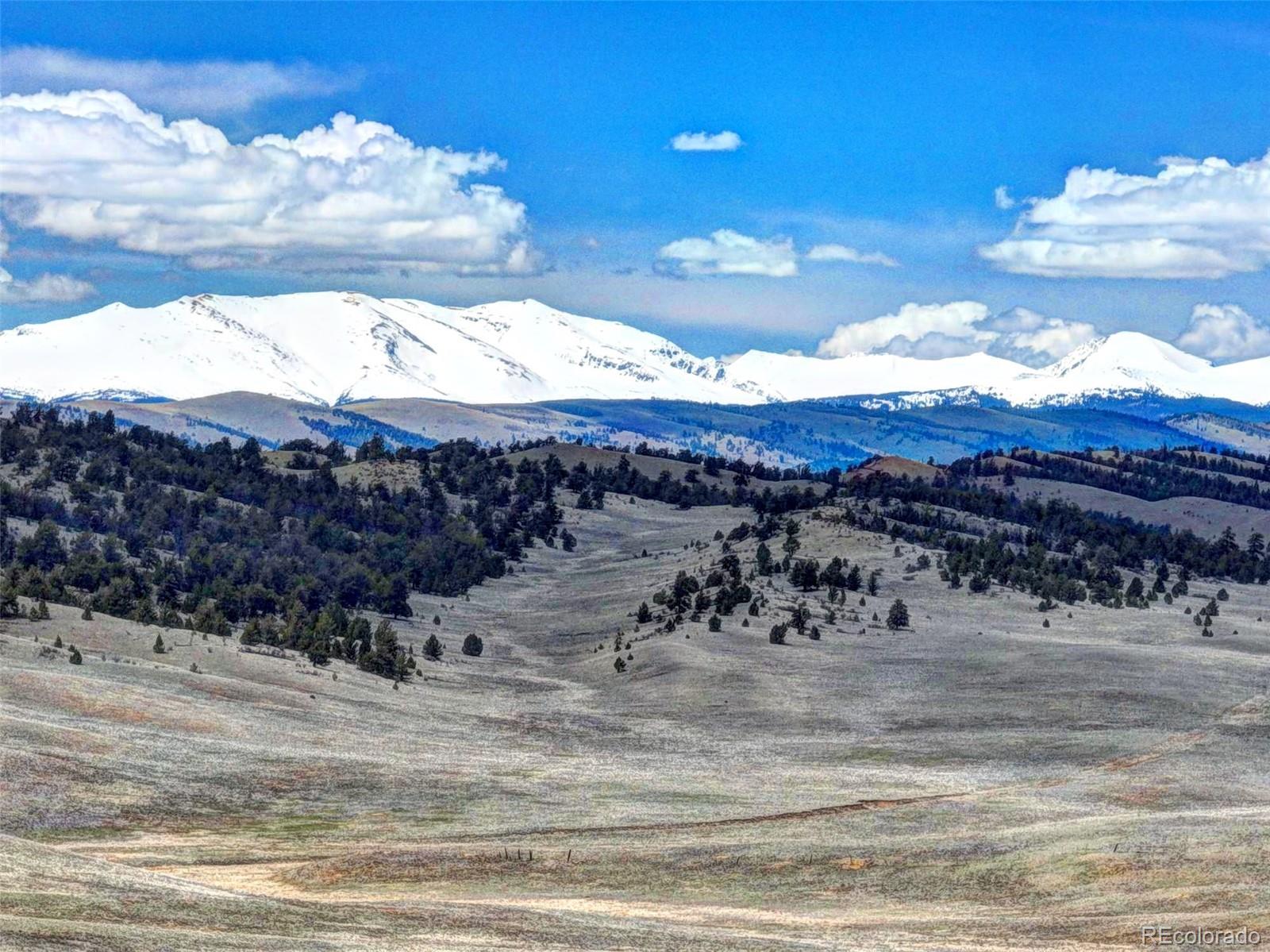 3223 Fitzsimmons Road Hartsel, CO 80449 - Photo 21 of 25 Gallery Image 21