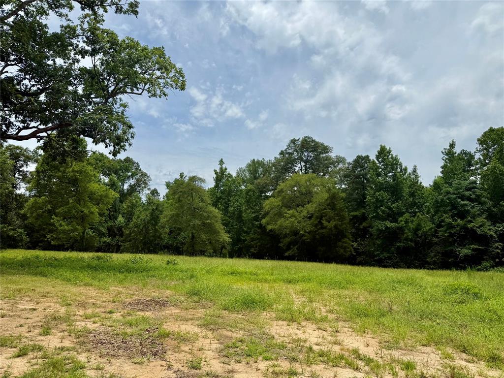 257 Bacle Road Coushatta, LA 71019 - Photo 39 of 40
