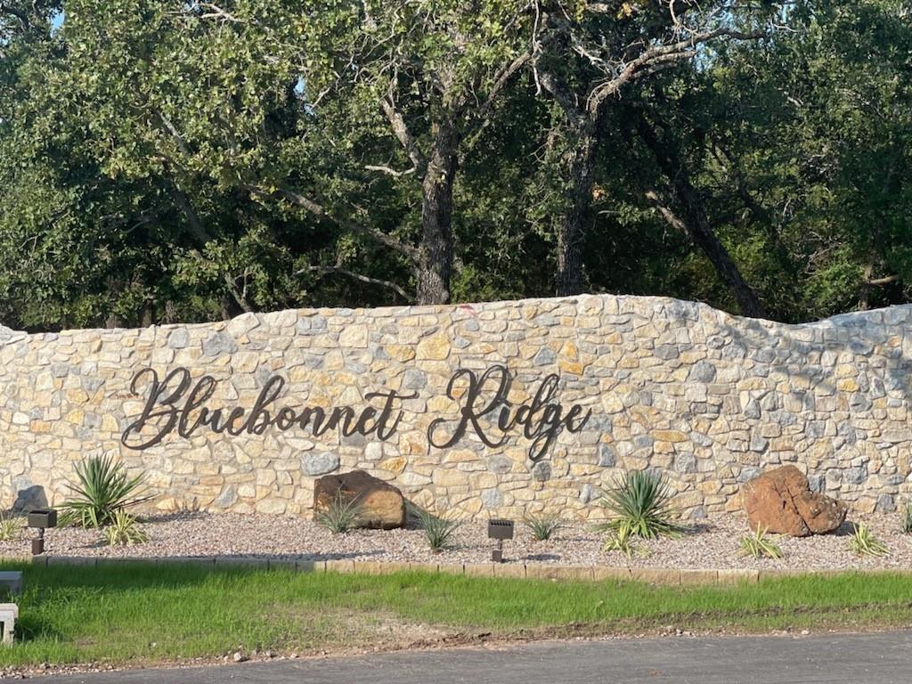 3031 Wyatts Way Weatherford, TX 76087 - Photo 2 of 2 View of community sign