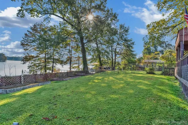 a view of a backyard with large trees