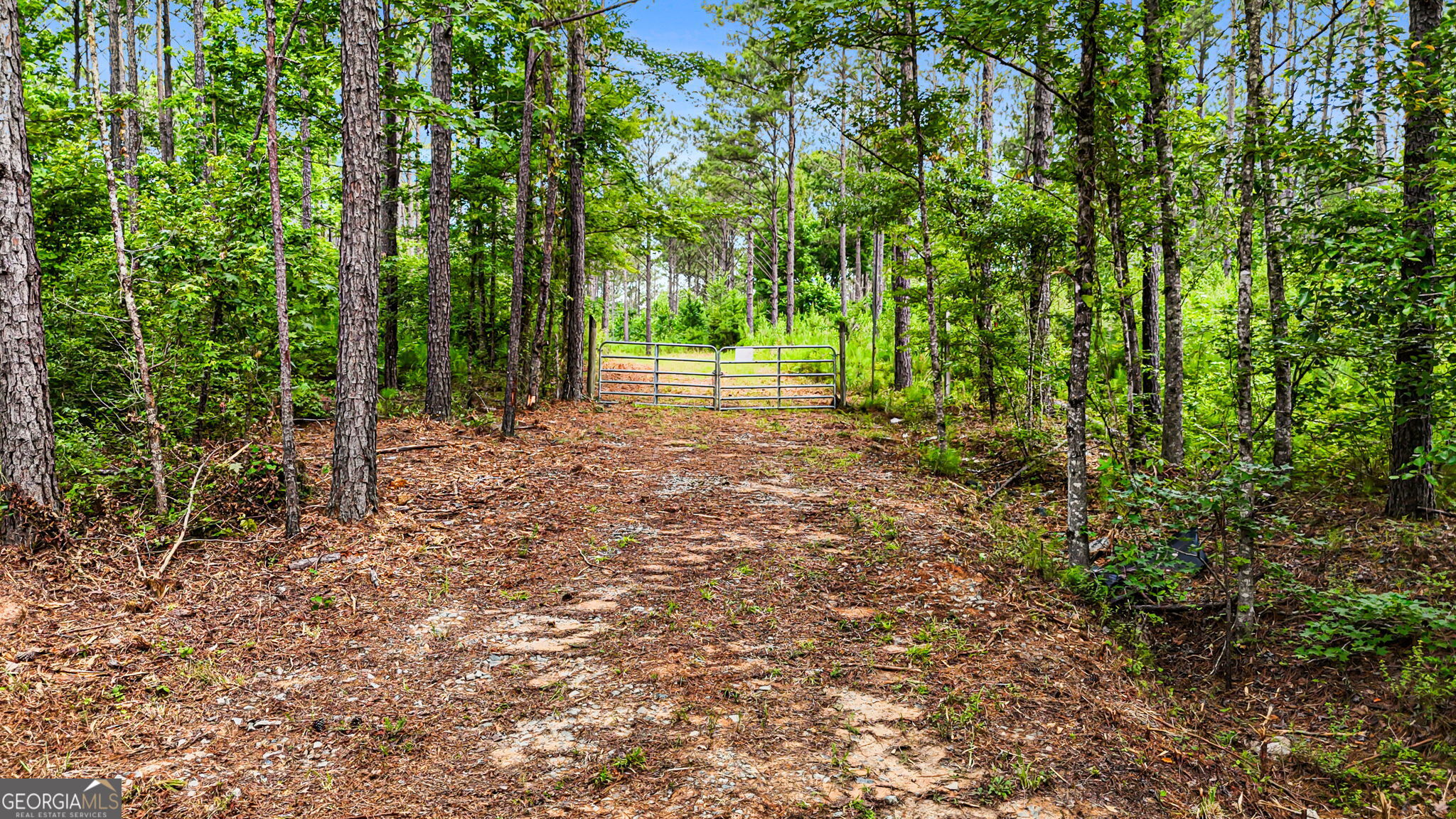 0 Howard Road Roberta, GA 31078 - Photo 6 of 14