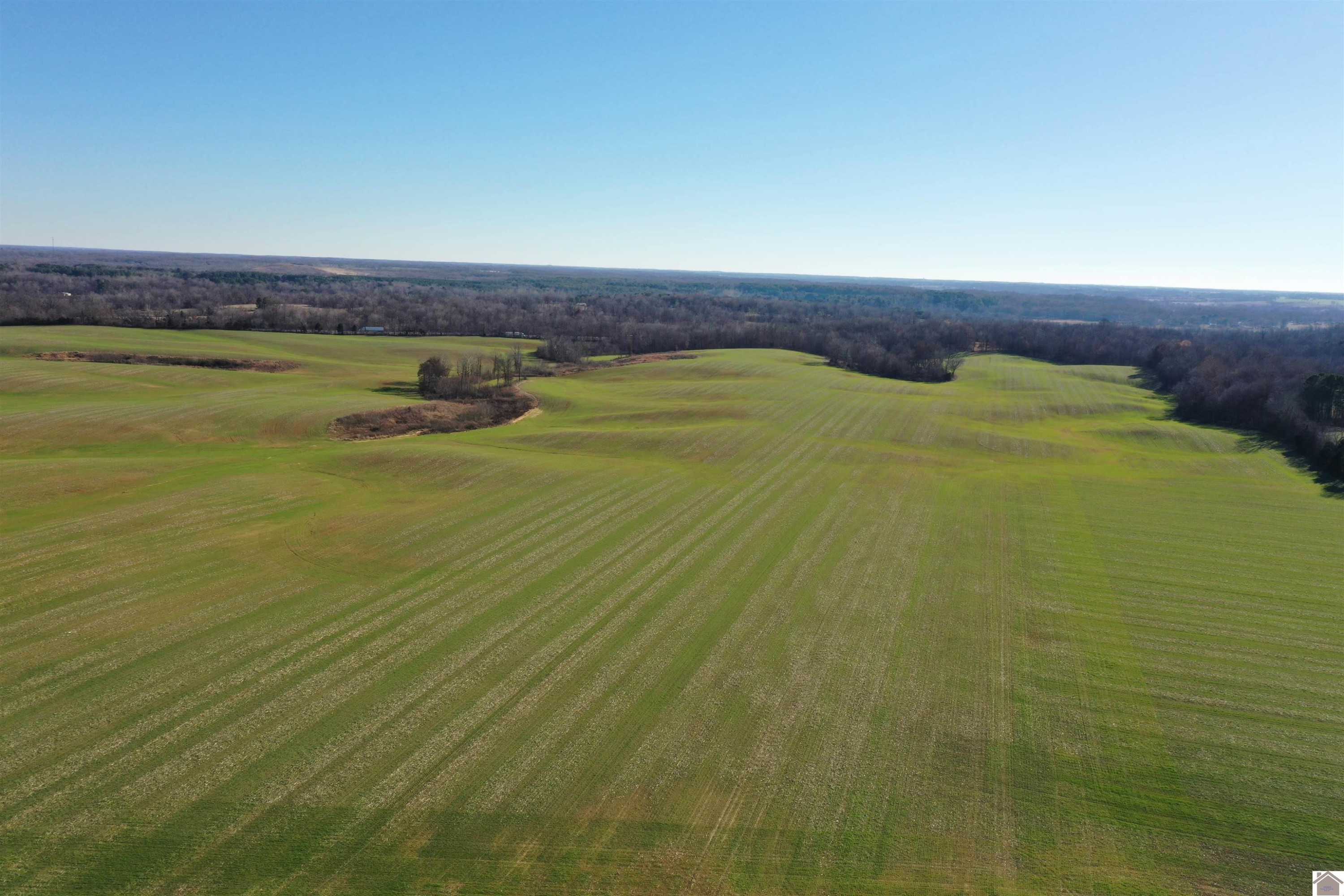 2323 Cardinal Road Mayfield, KY 42066 - Photo 19 of 23 Photo 19