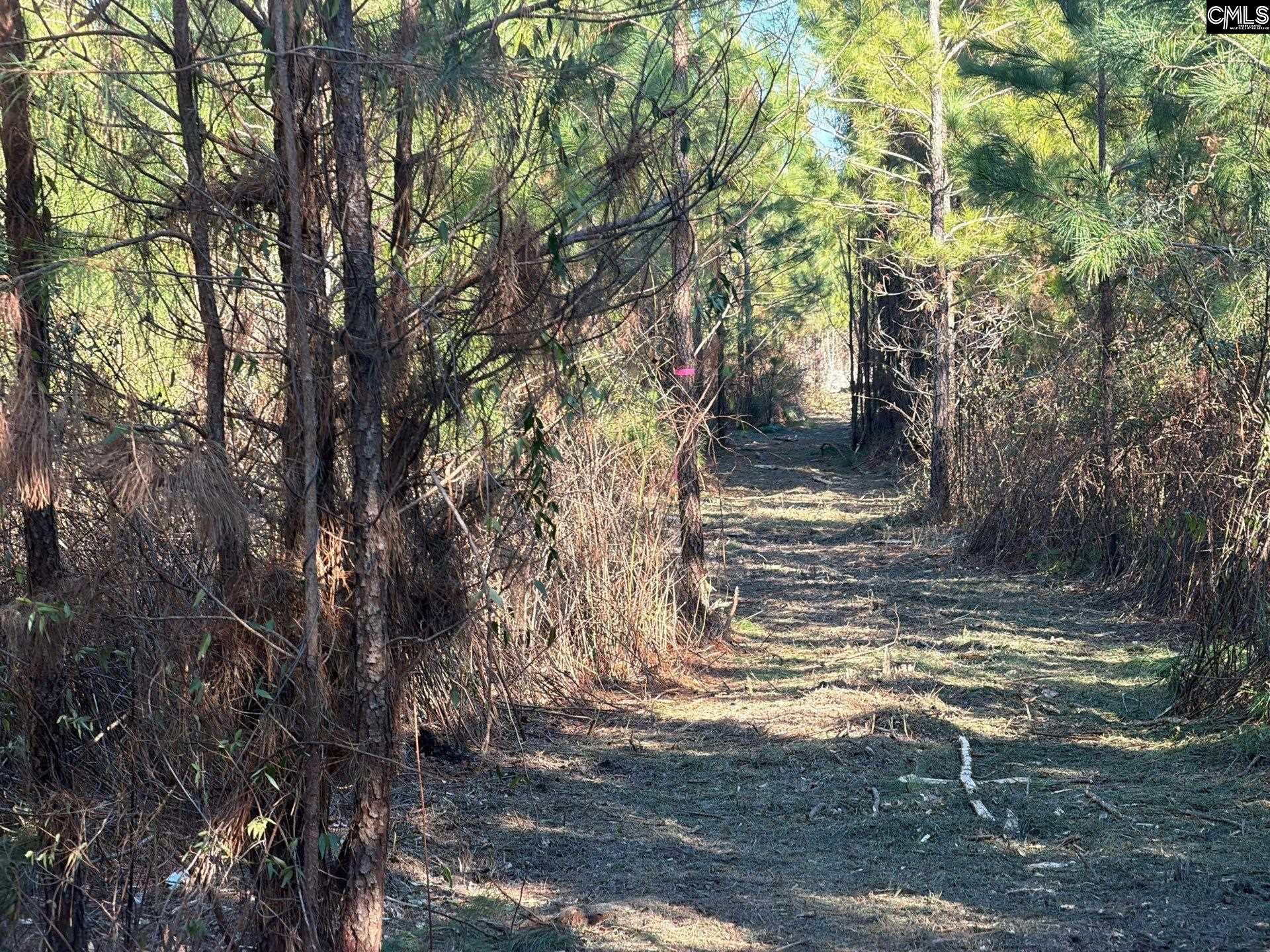 6 Brunson Teal Road, Unit BFF II 6 Patrick, SC 29584 - Photo 2 of 19