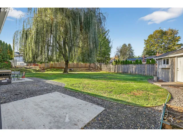 a view of a park with large trees