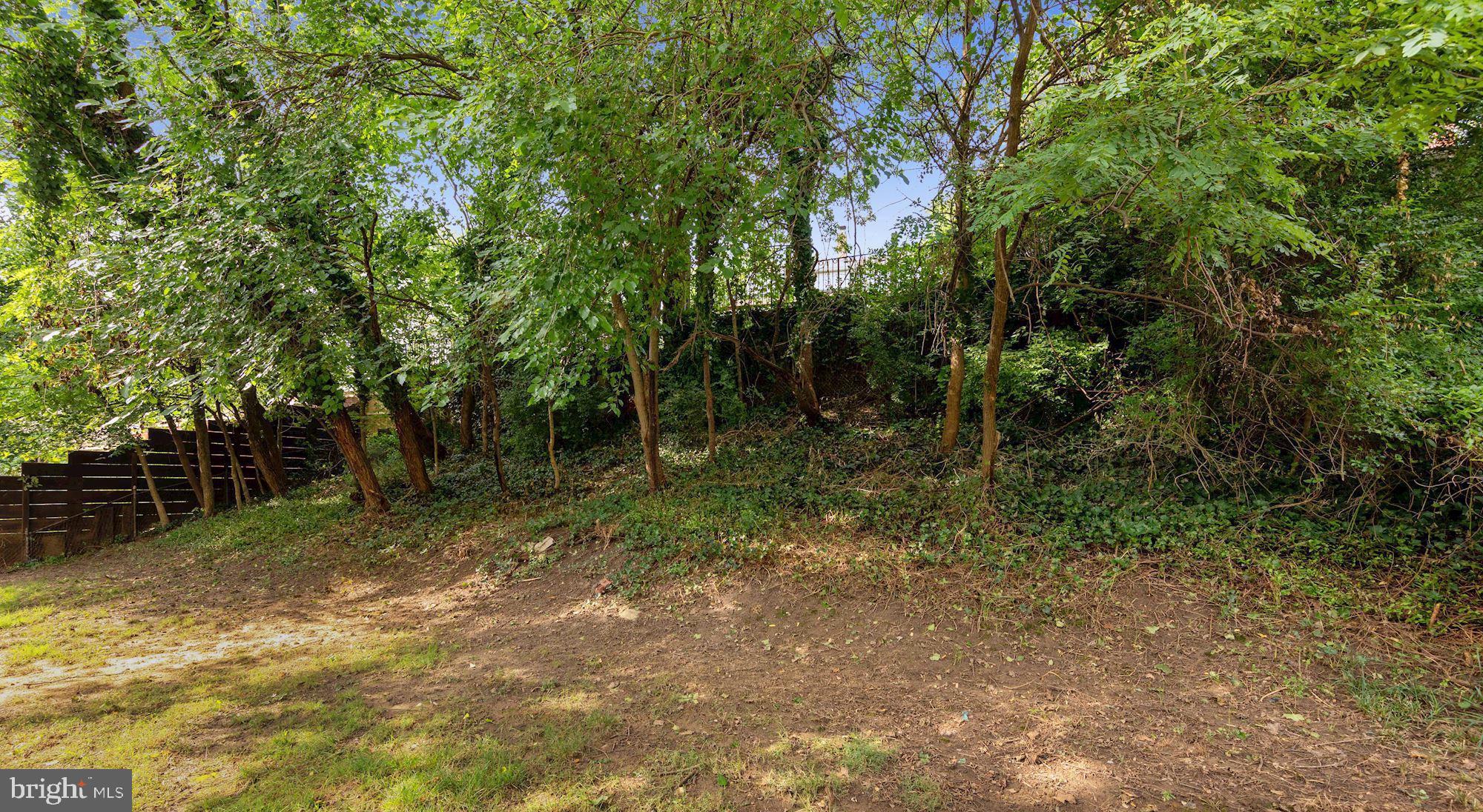 2901 Randolph Road Silver Spring, MD 20902 - Photo 21 of 23 Backyard