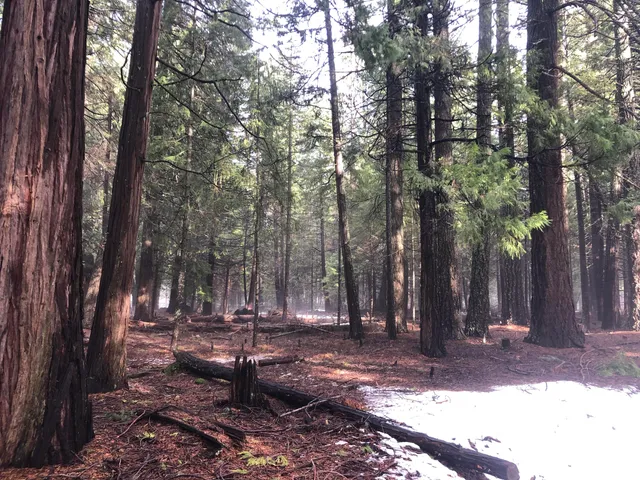 $119,000 | 5.19 Side Bottom Road, Shingletown, CA 96088