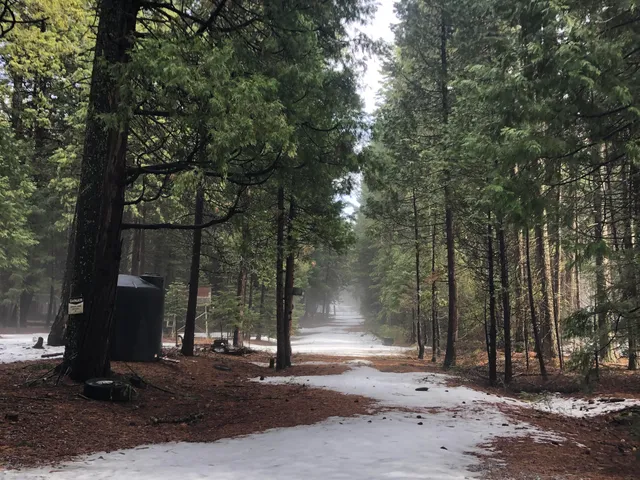 $119,000 | 5.19 Side Bottom Road, Shingletown, CA 96088