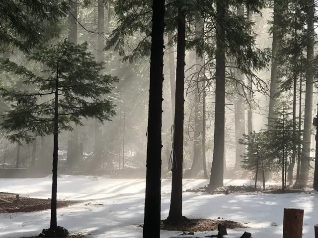 $119,000 | 5.19 Side Bottom Road, Shingletown, CA 96088