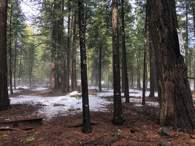 $119,000 | 5.19 Side Bottom Road, Shingletown, CA 96088