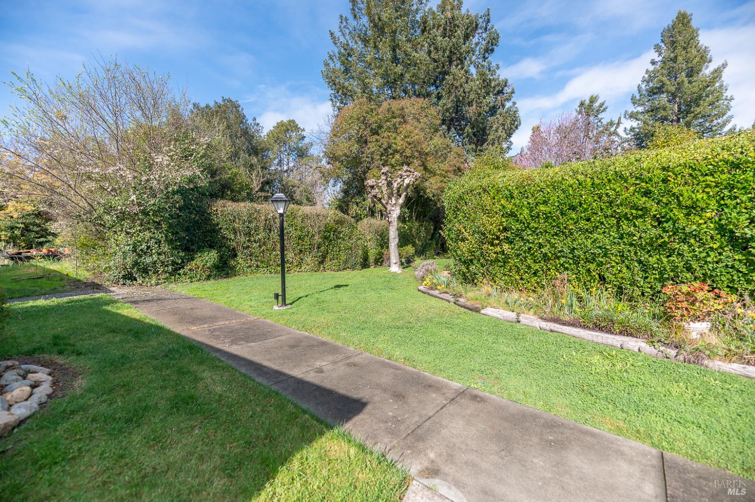316 Círculo Durango Rohnert Park, CA 94928 - Photo 4 of 33 a view of a park with large trees