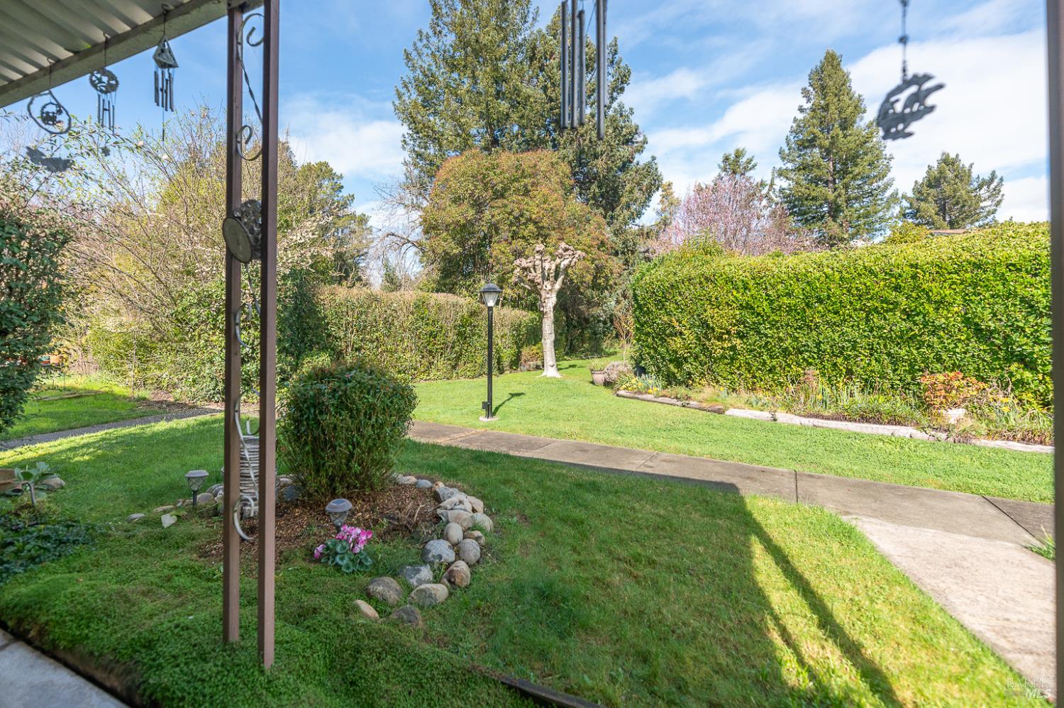 316 Círculo Durango Rohnert Park, CA 94928 - Photo 6 of 33 a view of a garden with a tree