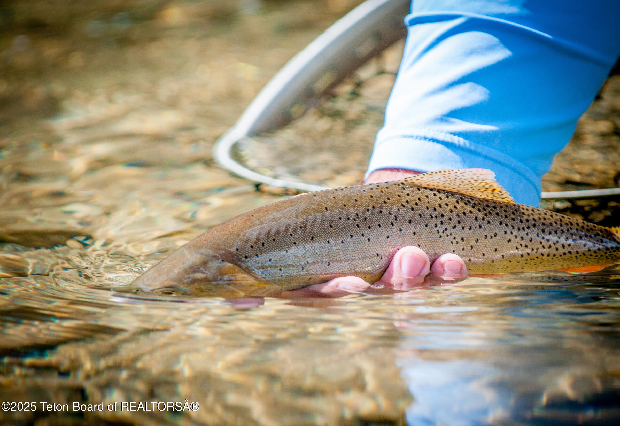 1225 Munger Mountain Road Jackson, WY 83001 - Photo 14 of 17 1225 Munger Mountain Road