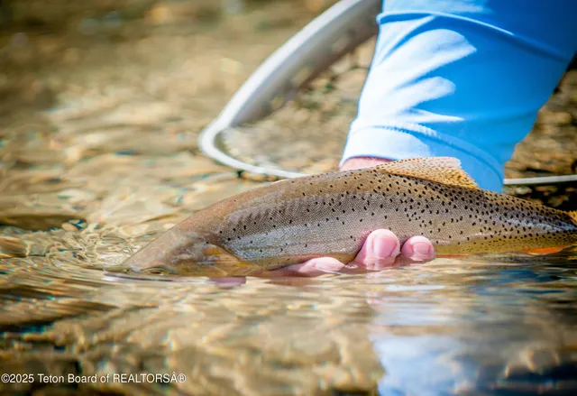 $9,500,000 | 1225 Munger Mountain Road, Jackson, WY 83001