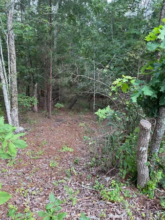 $25,000 | Lot 15 Overlook Point, McCormick, SC 29835