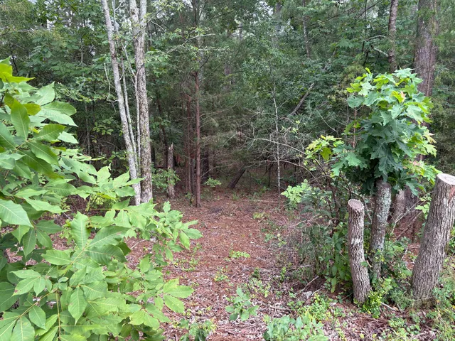 $25,000 | Lot 15 Overlook Point, McCormick, SC 29835