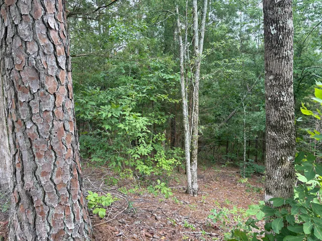 $25,000 | Lot 15 Overlook Point, McCormick, SC 29835