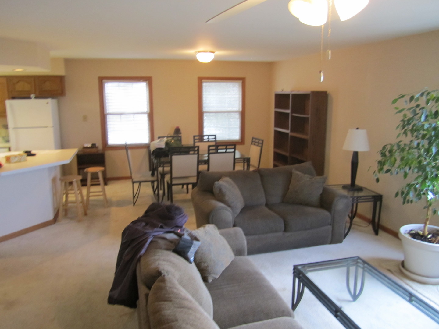 400 South Peace Road, Unit 1 Sycamore, IL 60178 - Photo 6 of 12 a living room with furniture potted plant and a window