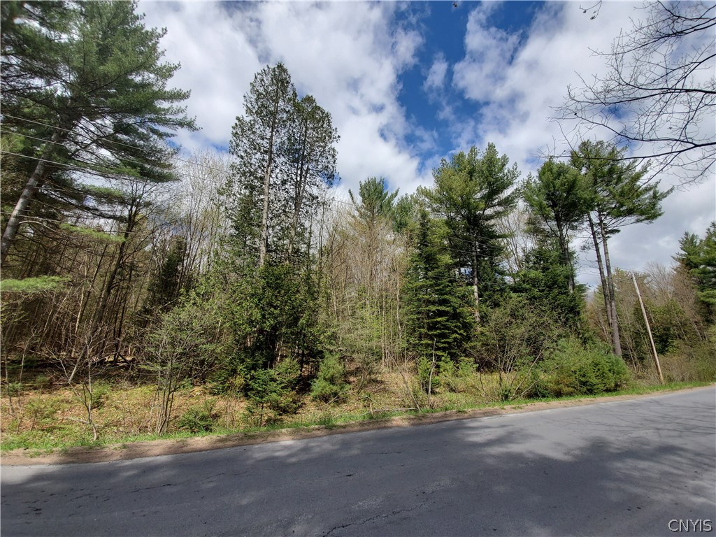 6673 Hodge Road Watson, NY 13367 - Photo 1 of 1