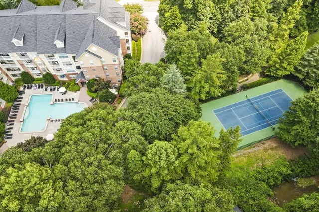 a view of a garden with pathway