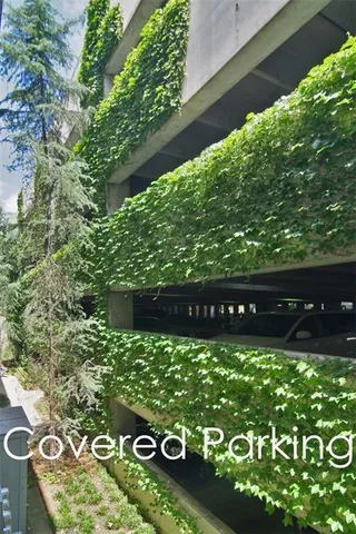 a view of a wooden fence