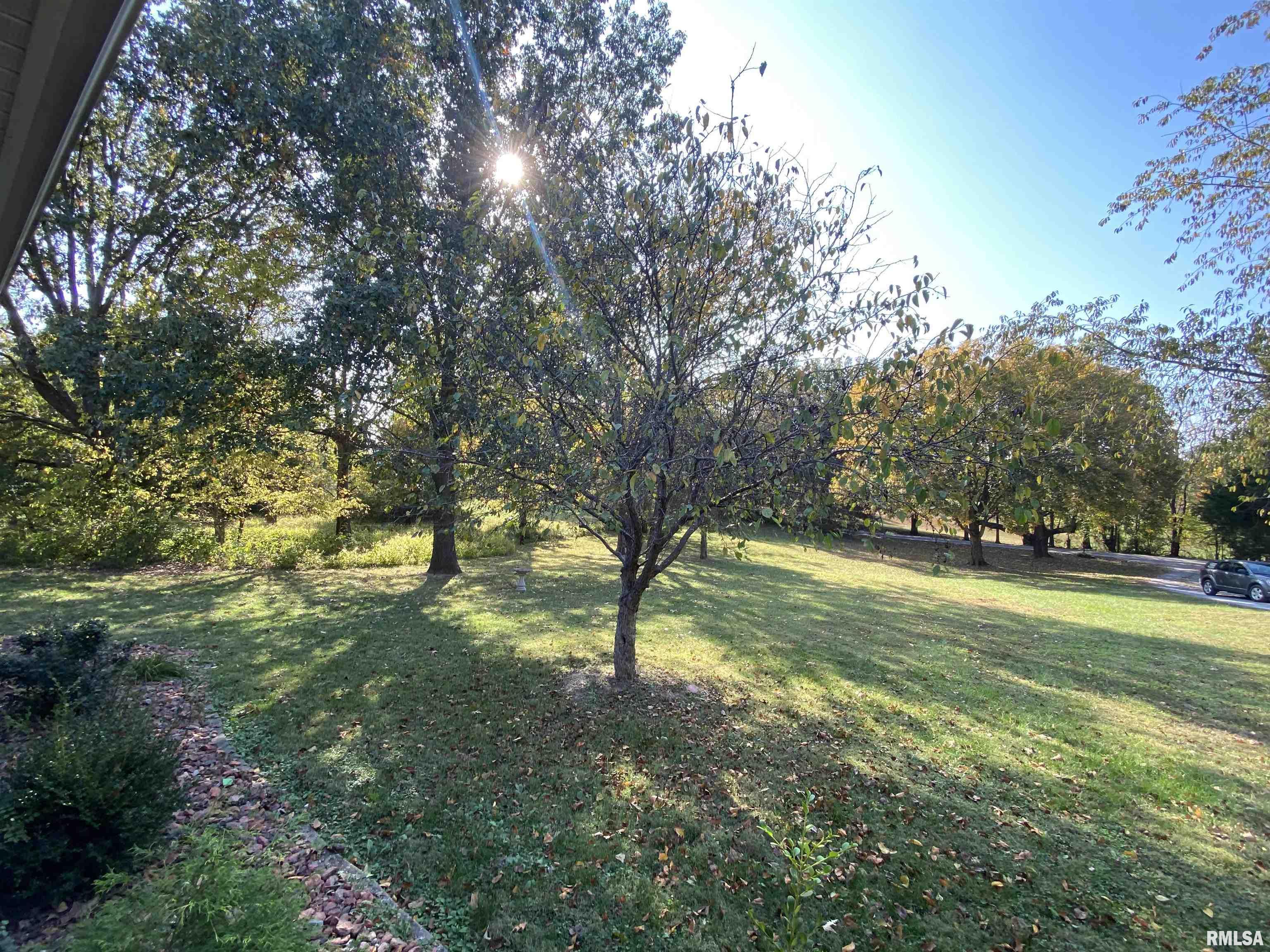 404 Lighthouse Road Harrisburg, IL 62946 - Photo 8 of 26 Gallery Image 8