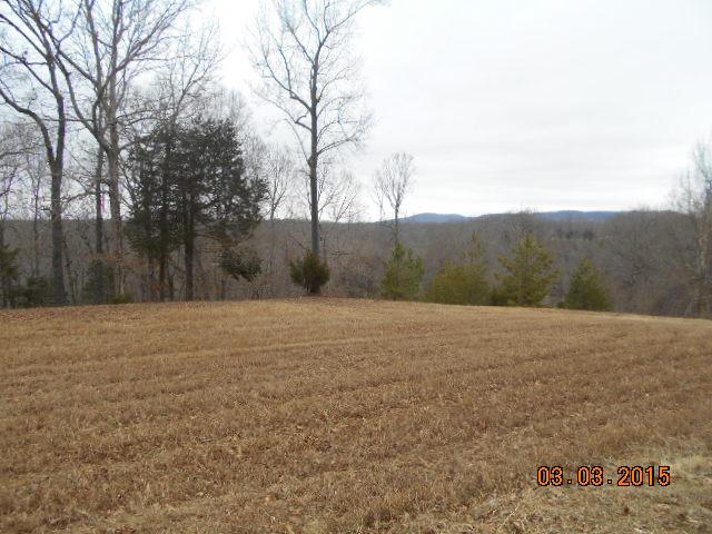 0 Mcelroy Road Rock Island, TN 38581 - Photo 1 of 3 Gallery Image 1