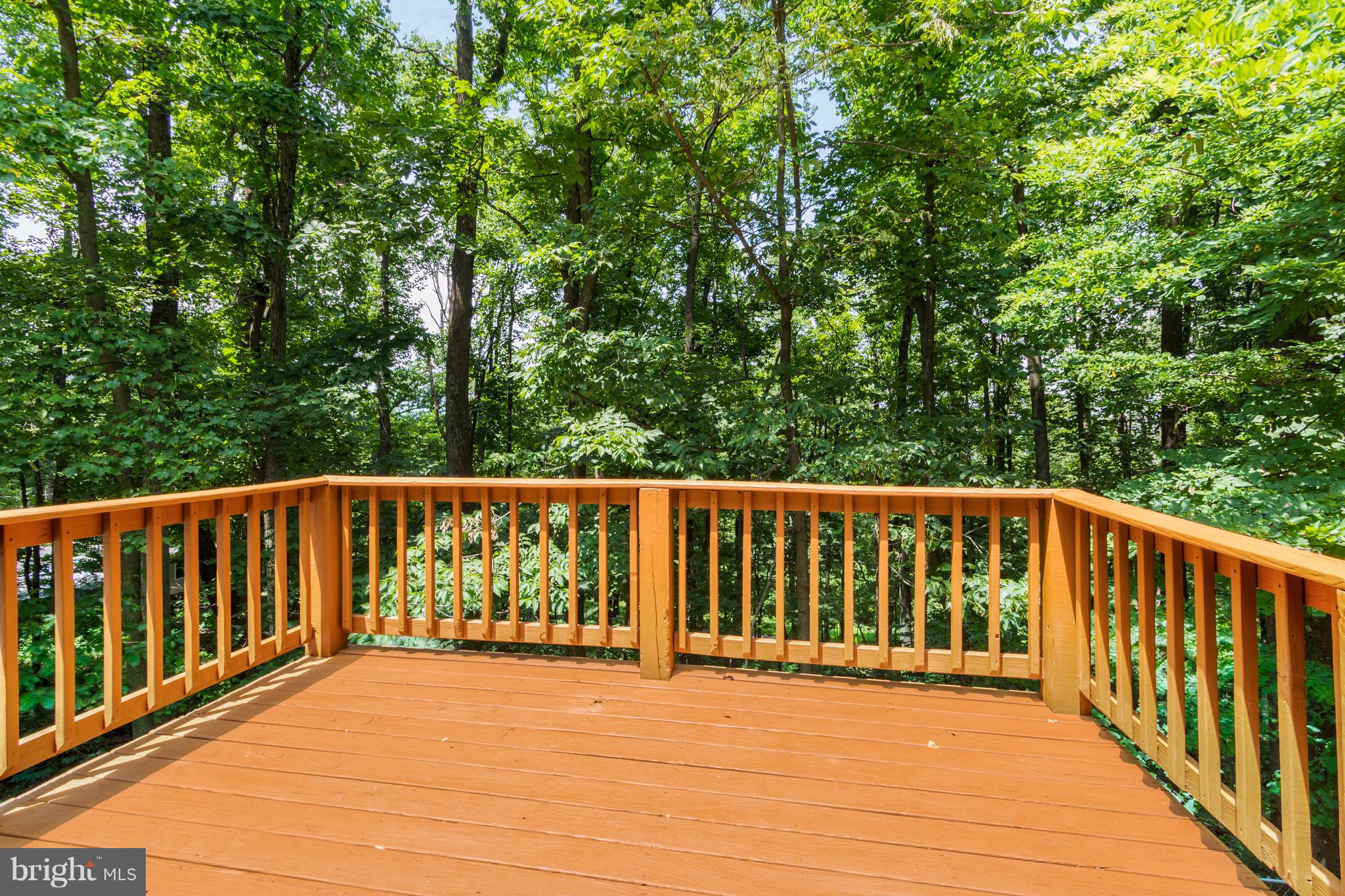 467 Inca Road Linden, VA 22642 - Photo 9 of 19 View