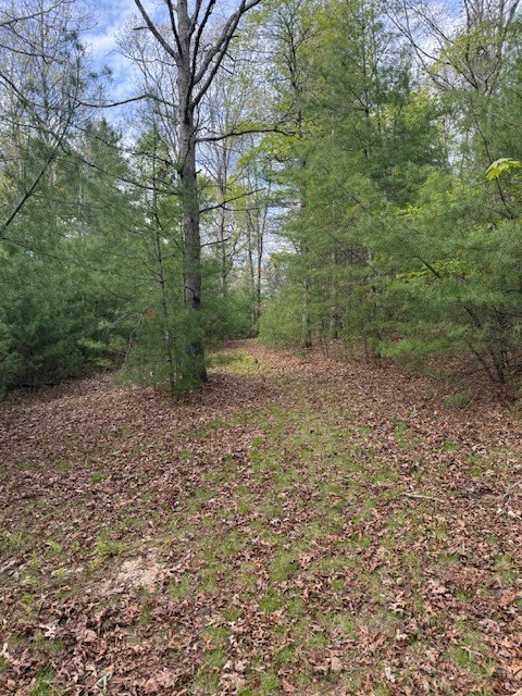 Country Ridge Road Jefferson, NC 28640 - Photo 1 of 5 Gallery Image 1