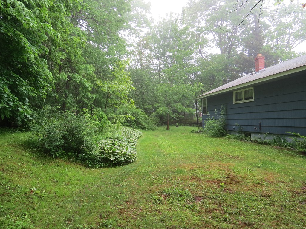 29 Birchwood Road Rutland, MA 01543 - Photo 16 of 17 a view of a backyard with plants and large trees
