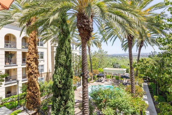a view of a yard with plants and large trees