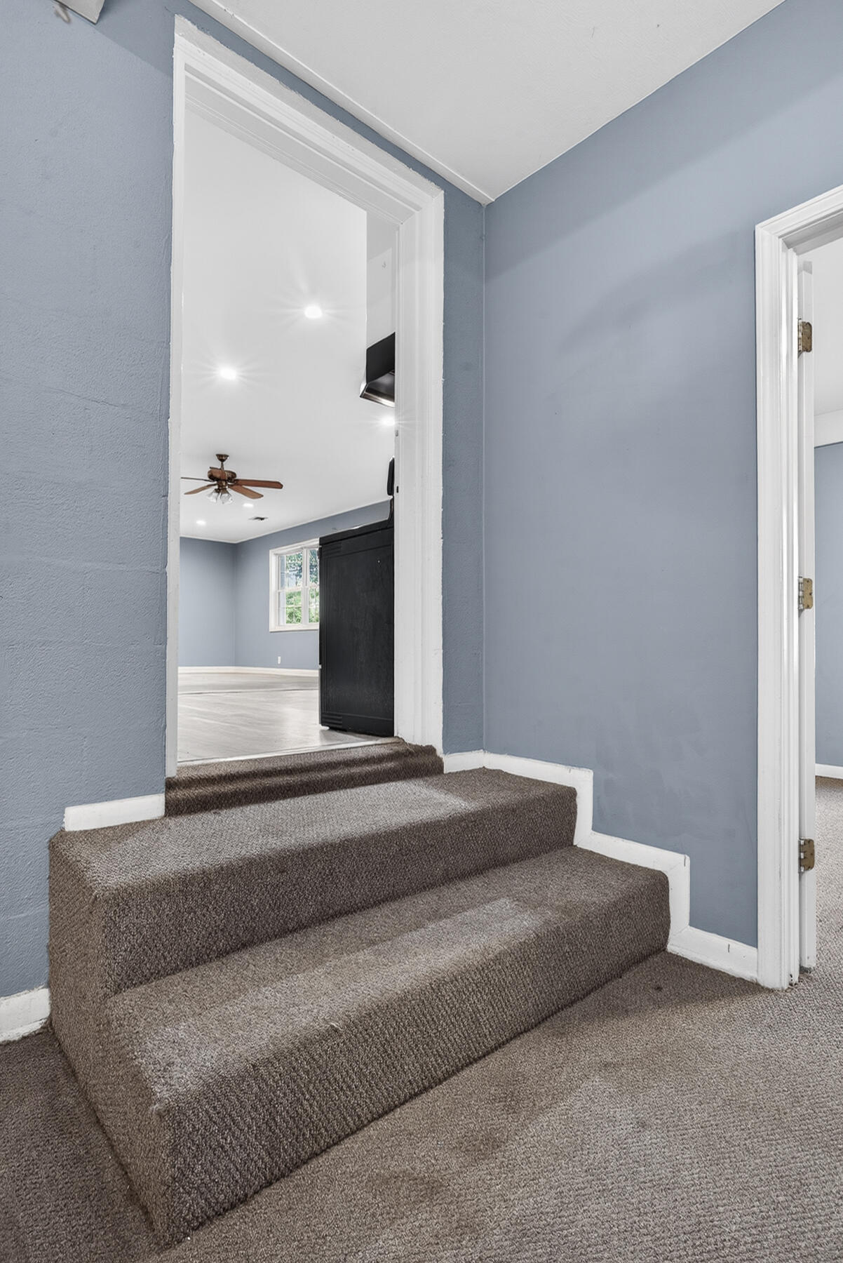 727 Levee Drive Moncks Corner, SC 29461 - Photo 30 of 60 MD-41
