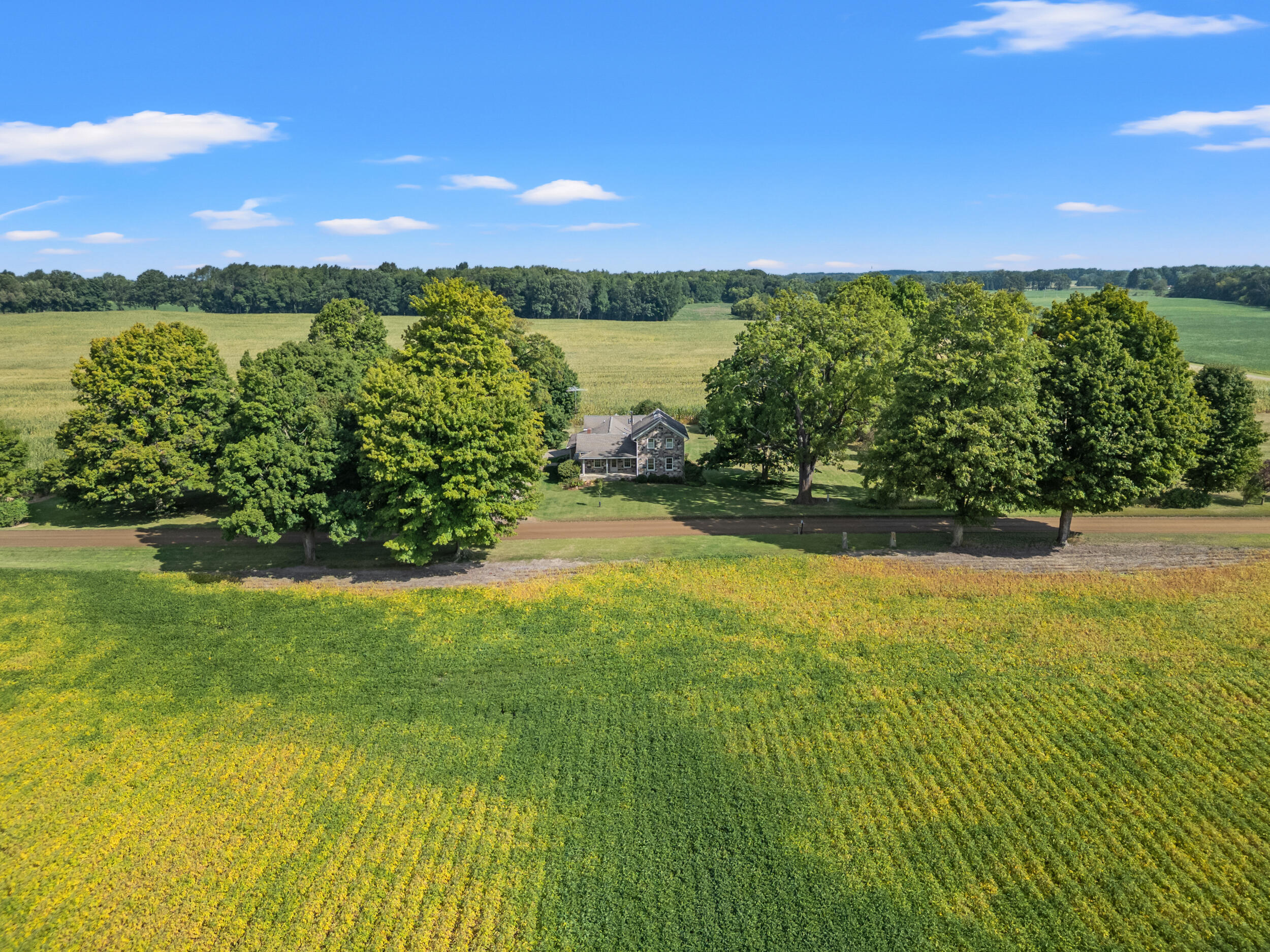 10100 Cook Road Litchfield, MI 49252 - Photo 28 of 70 DJI_0548