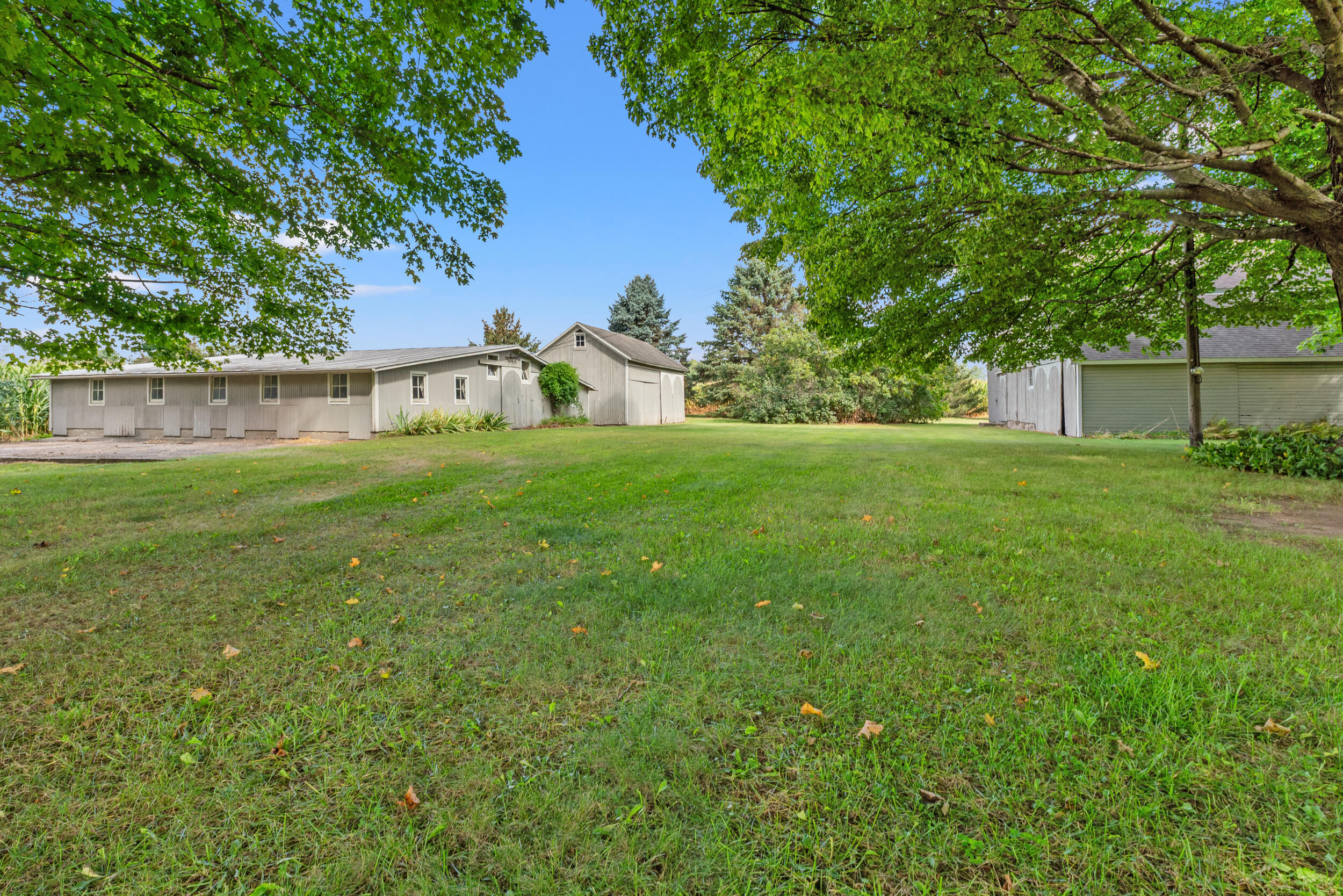 10100 Cook Road Litchfield, MI 49252 - Photo 9 of 70 _DSC9233