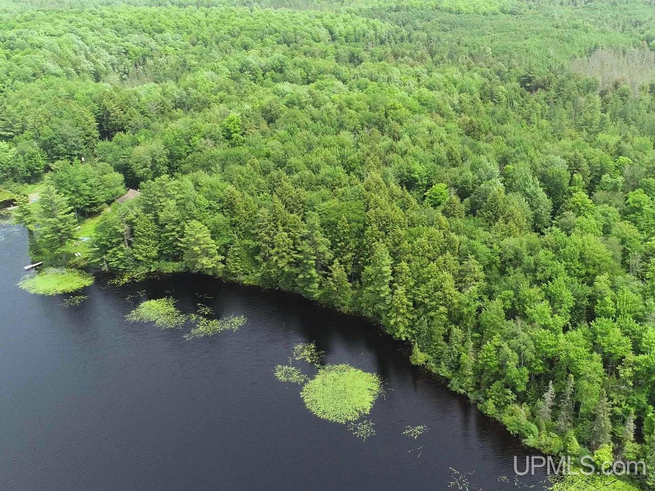 Parcel 1 Grant Lake Road Republic, MI 49879 - Photo 6 of 23