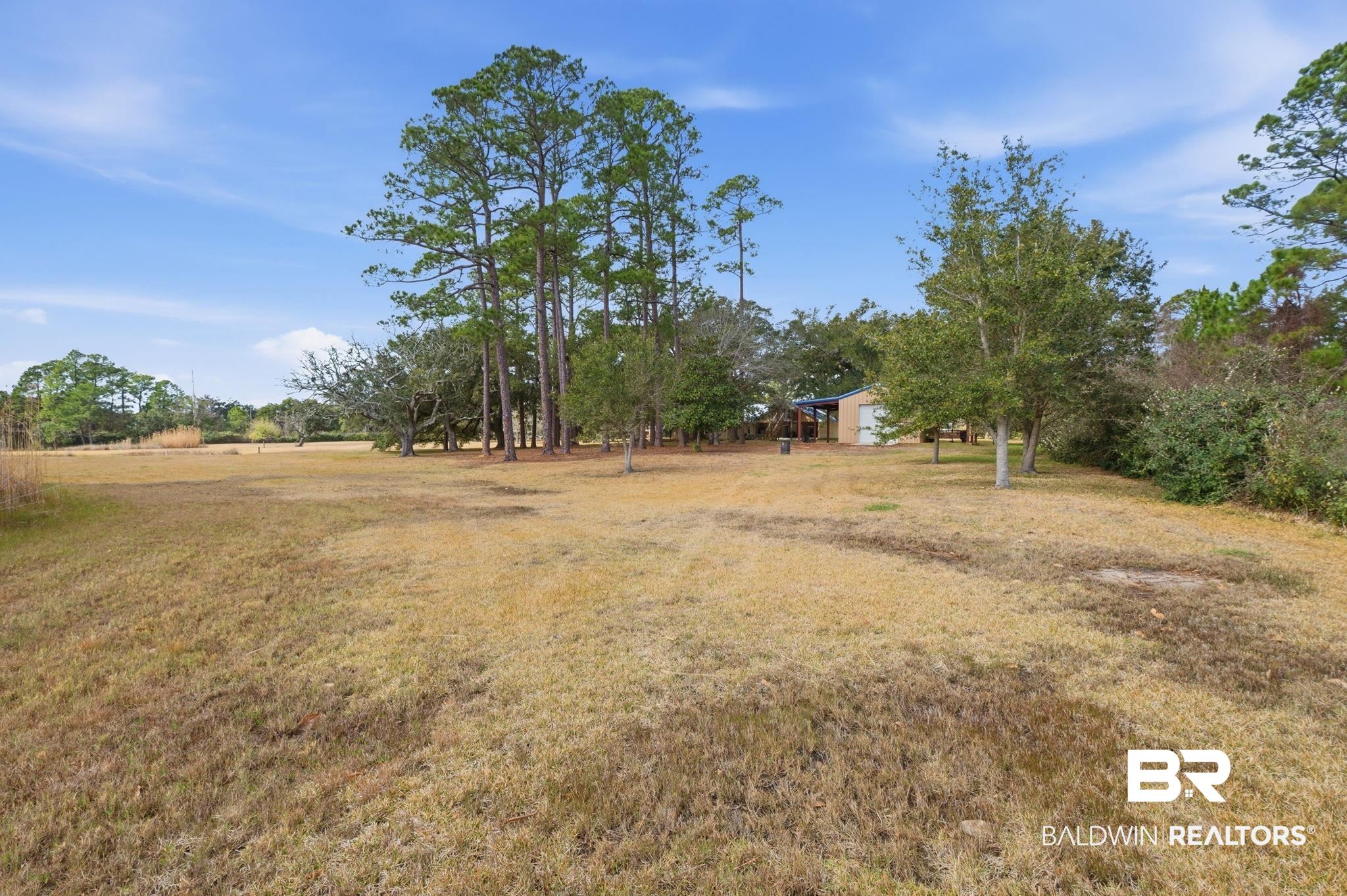 15025 Bellingrath Road Coden, AL 36523 - Photo 20 of 79 View of grassy yard