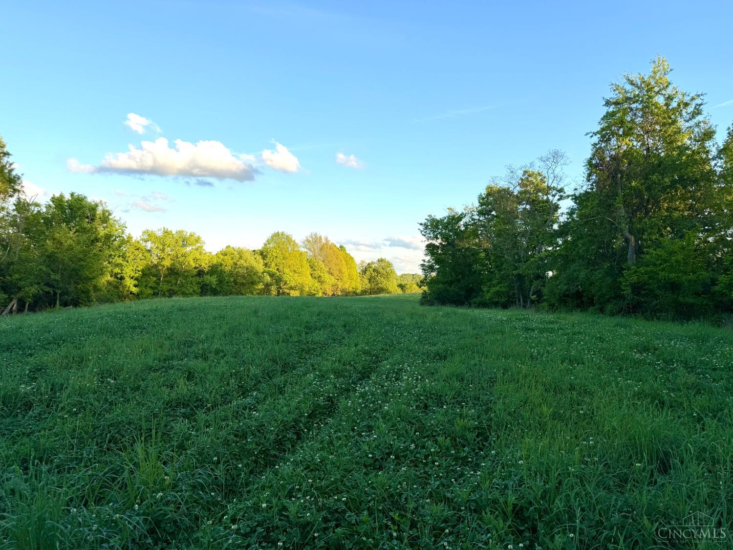 0 Maynard Road Ripley, OH 45167 - Photo 76 of 99