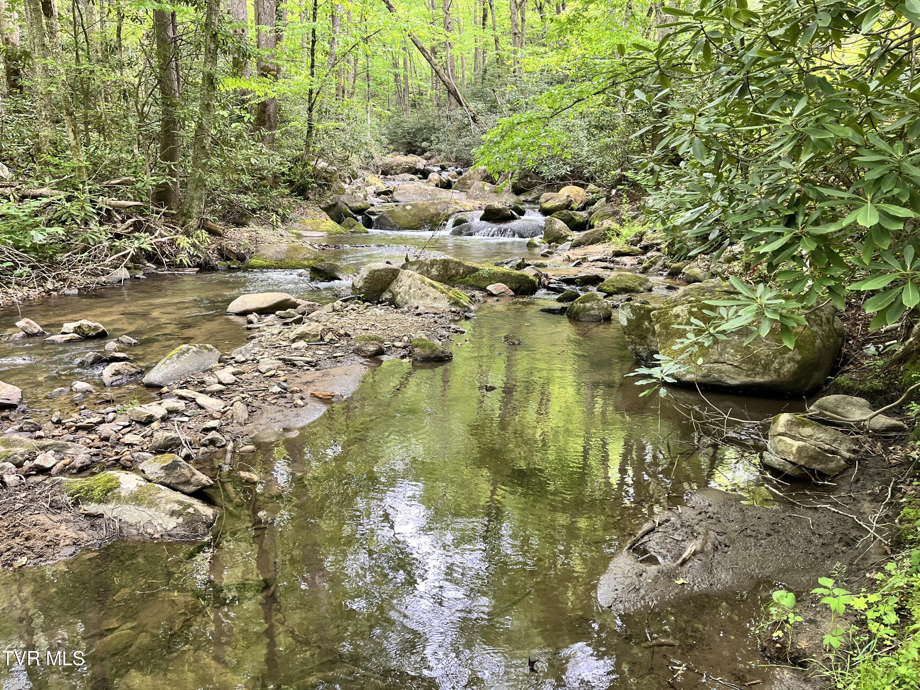 275 Tiger Creek Road Roan Mountain, TN 37687 - Photo 102 of 104 275 Tiger Creek ph4