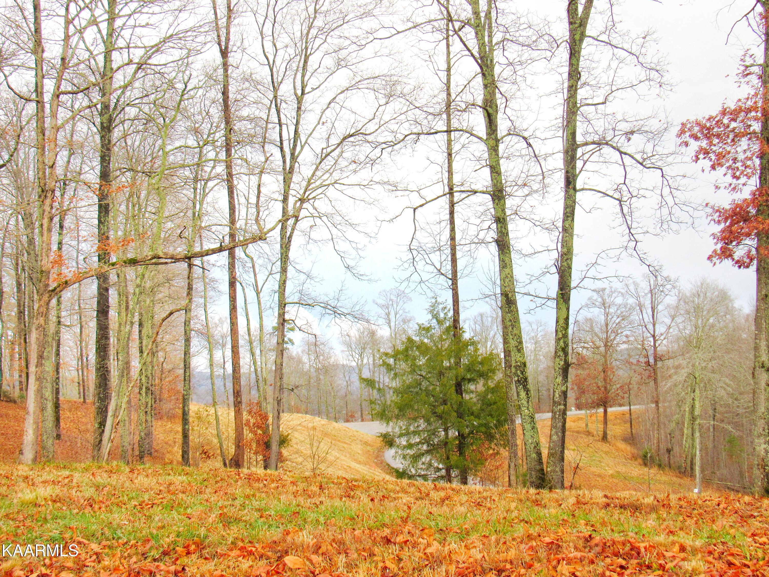 612 Prestige Ridge La Follette, TN 37766 - Photo 7 of 15 Level Build Ready Lots