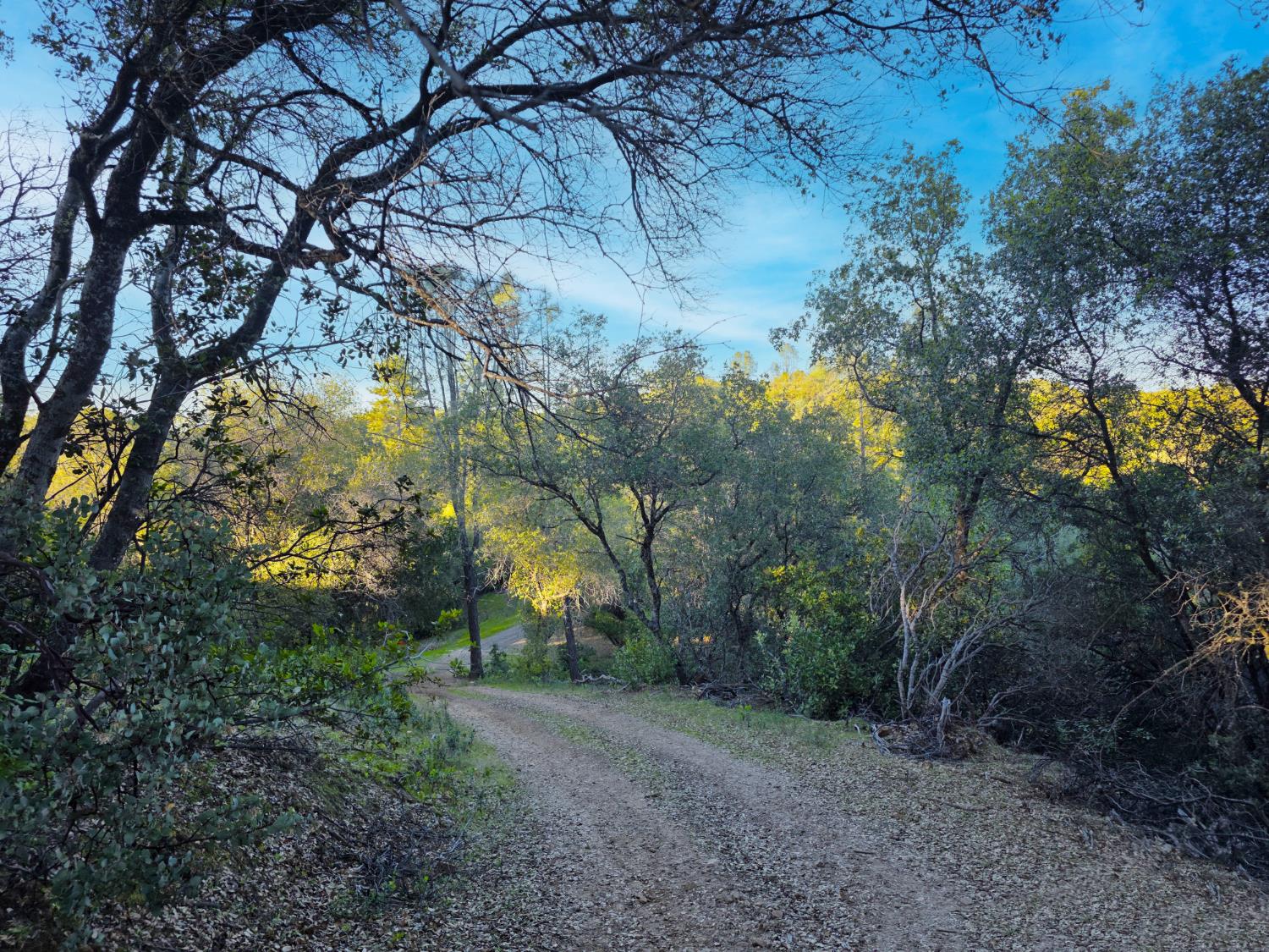 0 Ridge View Drive Sutter Creek, CA 95685 - Photo 1 of 32